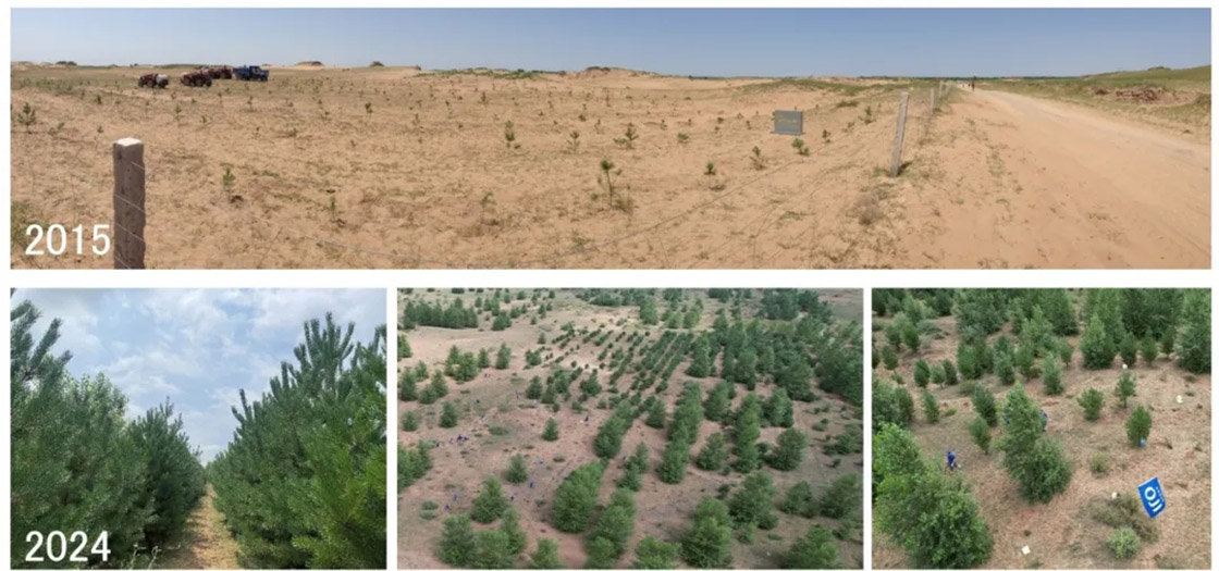 1719802457116616.jpg 640_wx_fmt=jpeg&from=appmsg&tp=webp&wxfrom=5&wx_lazy=1&wx_co=1.webp.jpg